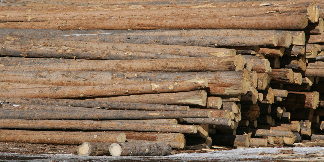 Log Deck