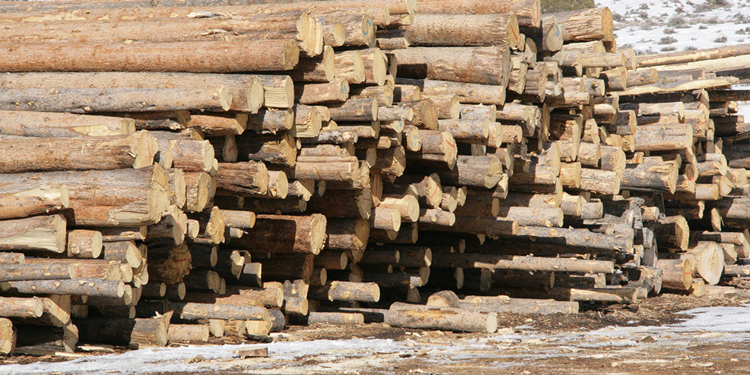 Log Deck
