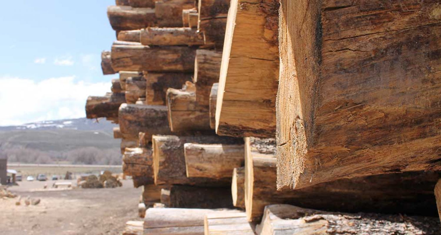 Quality Native Colorado Timber!